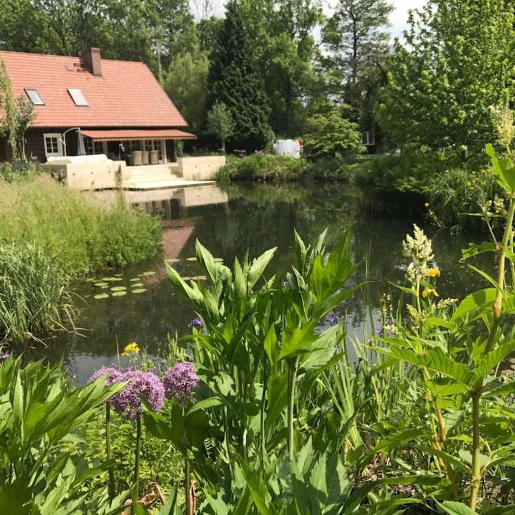 Burg Spreewald - Direkt am Wasser - FeWo2 Bild6