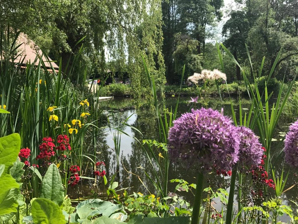 Bild: Burg Spreewald - Direkt am Wasser - Home2